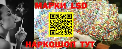 дмт Краснодар