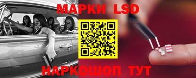дмт Краснодар