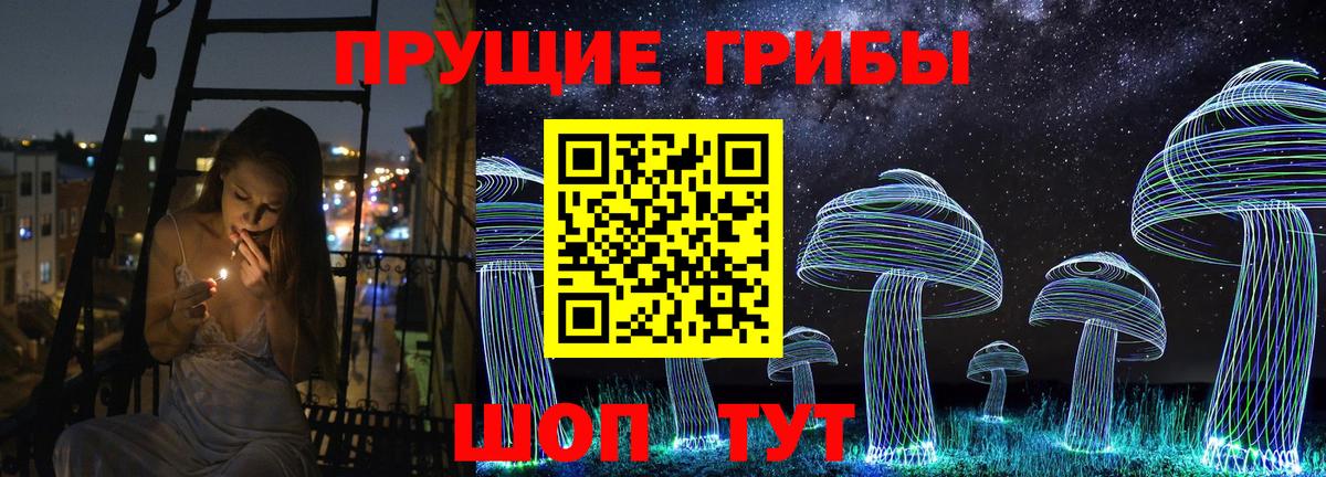 Галлюциногенные грибы Psilocybe Заводоуковск