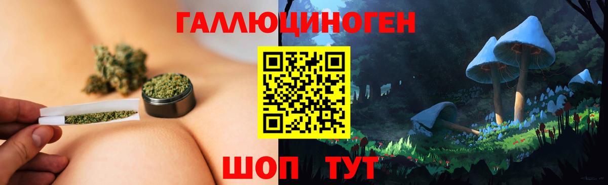 Псилоцибиновые грибы прущие грибы  где можно купить наркотик  Заводоуковск  Вход с VPN 