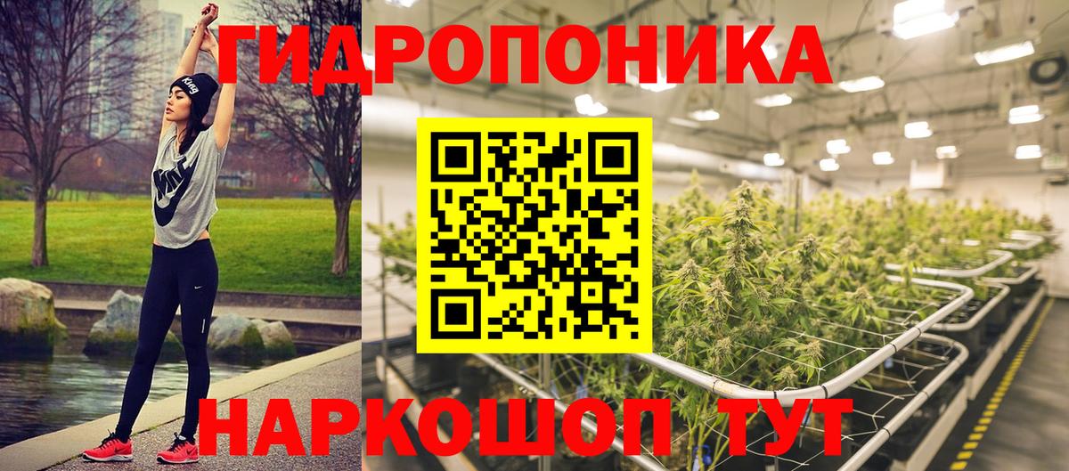 Заводоуковск  Марихуана SATIVA & INDICA  Вход с VPN  Бошки Шишки семена  Шишки марихуана конопля 